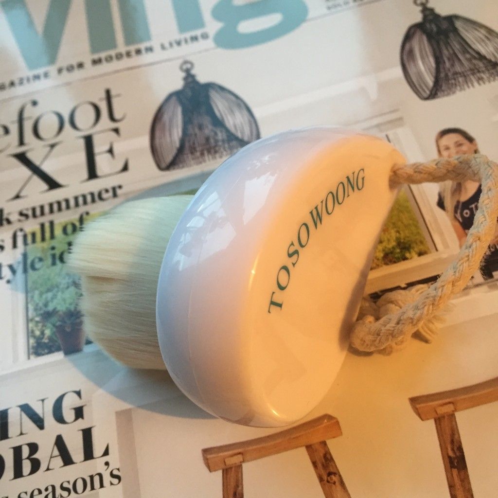 Tosowoong Pore Brush 